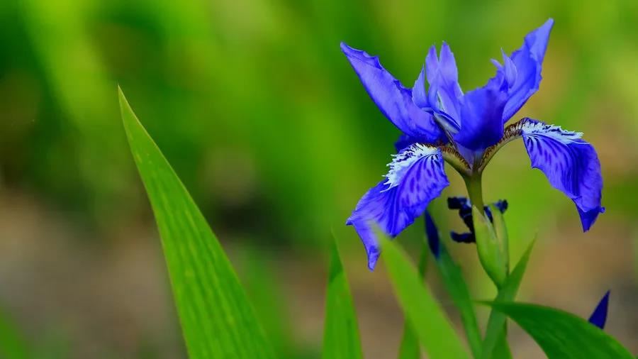 破太岁如何化解 教你3个简单又惊喜的妙招