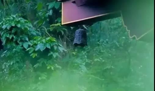 让前任主动联系的方法，让你挽救爱情不再卑微