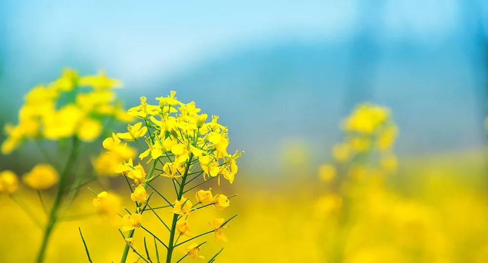 22个超实用的人际交往小技巧，看完记得收藏好！