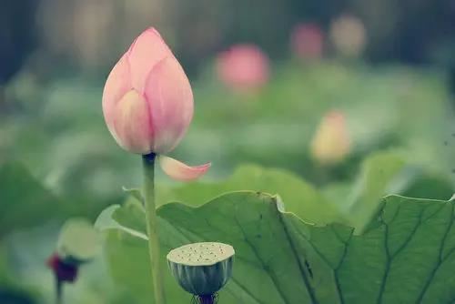 开运戒指佩戴的方法，千万别戴错了！