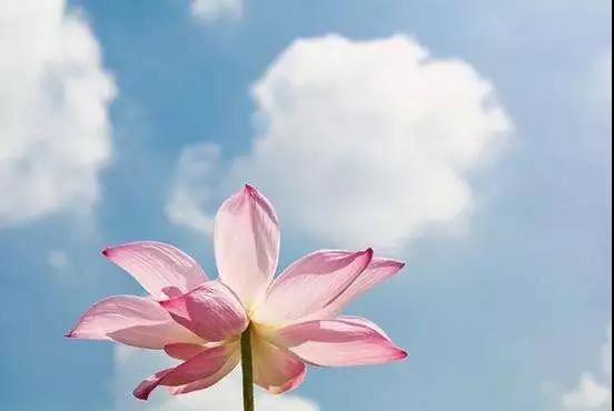 探究学校风水之说：传统还是盲信