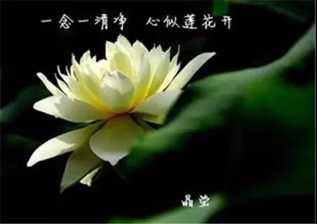 童子命 童女命都是几月出生的