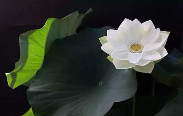 春节烧香祈福注意事项