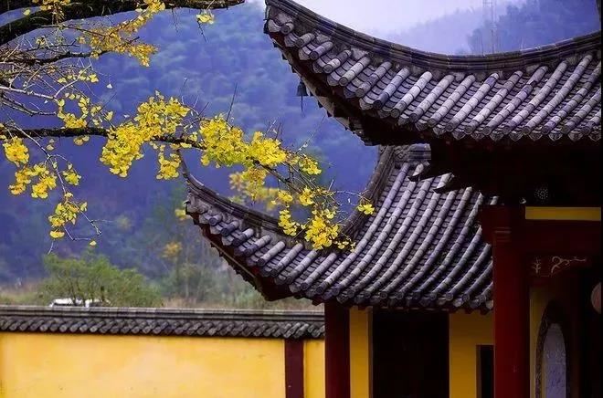 店铺吊天花的风水如何,来了解一下！