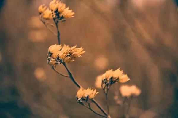 还阴债最快的方法|怎样迅速解决还阴债