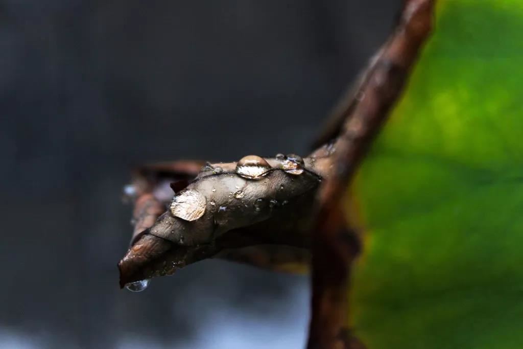 八字吧|揭秘如何根据八字算命|八字算命的方法和技巧|八字算命的准确性