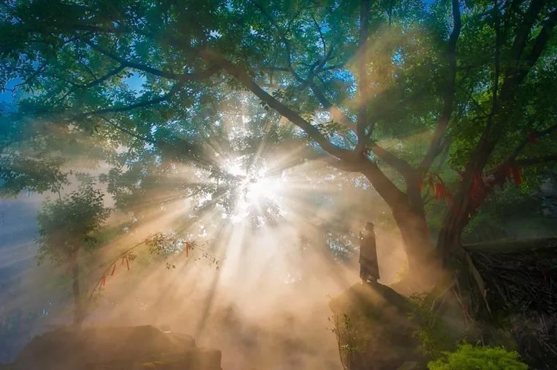 2000年属龙的佳配 找到另一半的做法