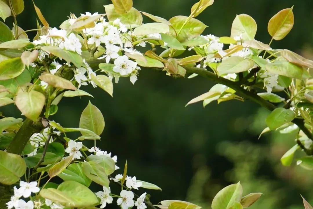 真有堕胎婴灵之说吗,超度婴灵法事费用一般多少