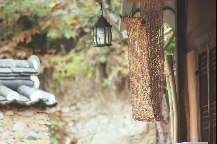 童子命的特殊气质，一般人身上没有