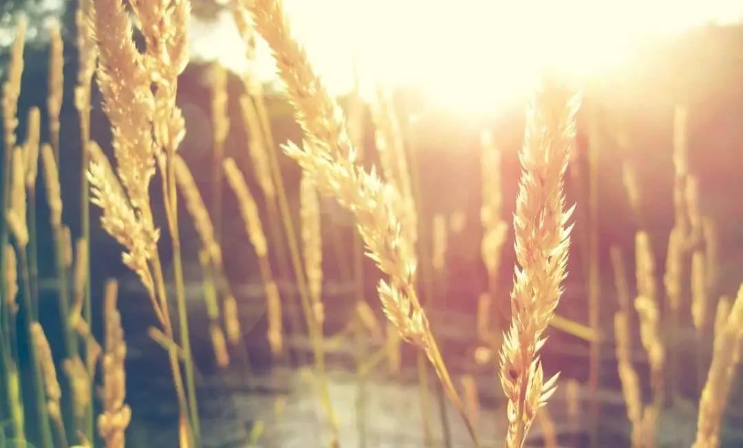 佛家的还阴债之法,不知道怎么进行还阴债,大家一定要知道