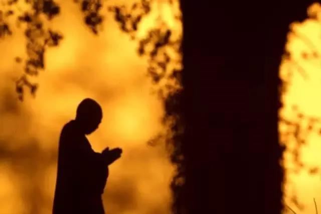 八字命理学中哪些贵人星座代表好命？