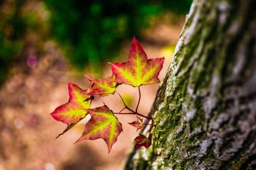 八宅风水吉凶方位如何找？