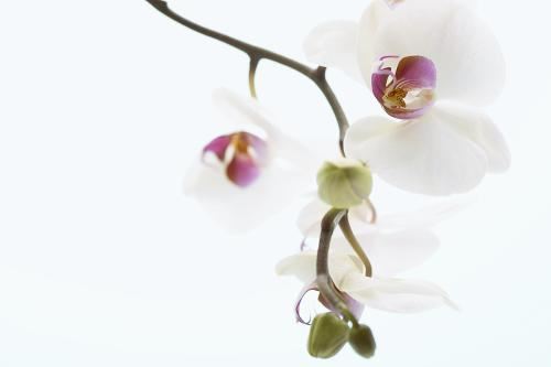 出现这些特征的男女均为童子命，赶紧做法化解