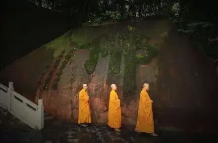 老鼠和羊合不合 属相鼠和羊是否能够在一起