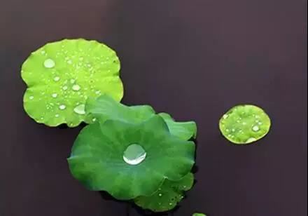 流产后不渡亡英灵会来找吗,会有婴灵来报复干扰亲身父母的生活