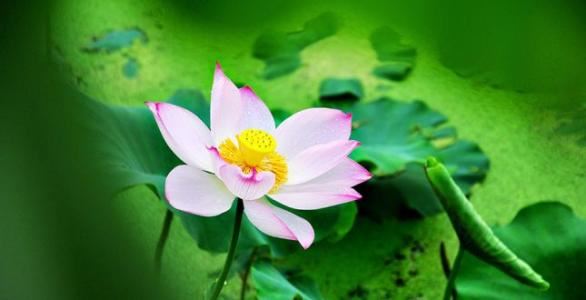 道教补财库的经文教你如何开补财库获得好运势