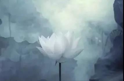 怎样还阴债补财库？为什么要还阴债？