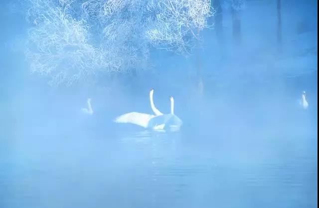 做梦与现实的关系:揭秘梦境背后的隐藏含义