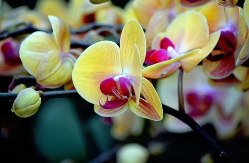 怎么验证身上有婴灵，这件事必须要道长出手