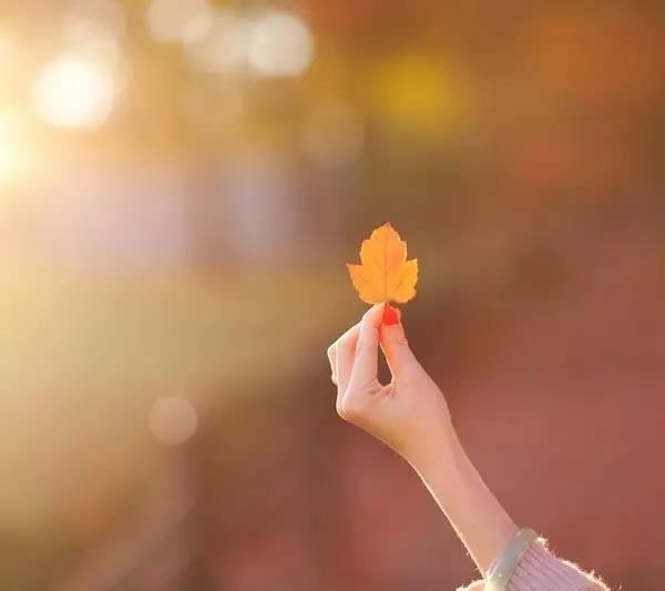 运势变好的星座 在12月份就会拥有非常好的运程