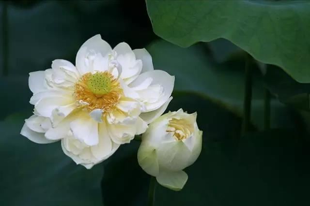 想要挽回女朋友,别让女友知道你的这些情况