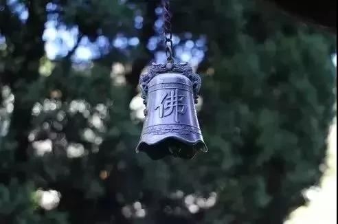 梦到自己爬很高,意味着什么？方法与技巧分享