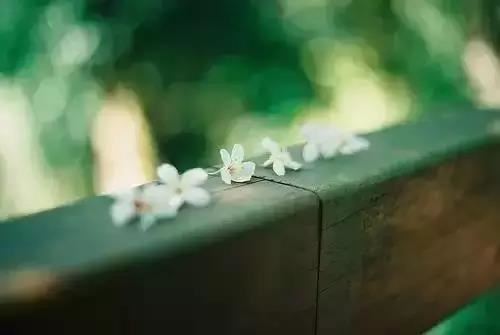 还阴债兑换元宝数量,一次能兑换多少元宝？