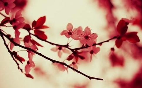 道教宝诰的起源和形成