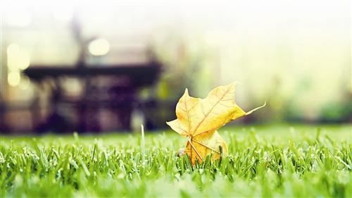 怎么才能知道堕胎婴灵是否走了