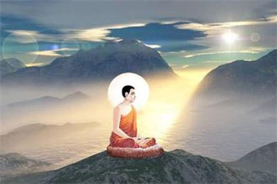 室内发财树怎么养才能更旺盛,发财树叶子发黄怎么处理怎么补救