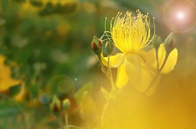 婴灵做完超度后会托梦吗 这要看你和它之间的缘分深浅