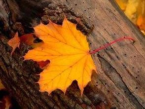 梦到自己是凶手,这可能是什么警示？