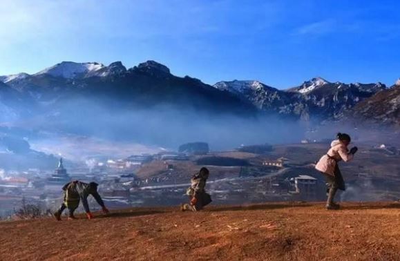 生肖猪几月出生最好 是富贵命呢？