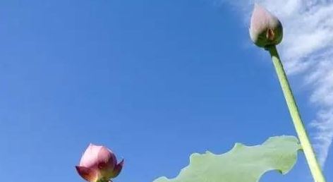 什么是八字8两，如何才能实现