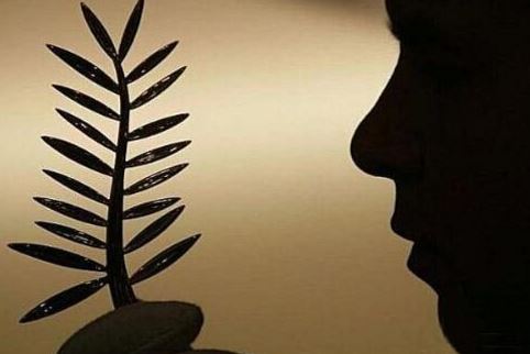 阳宅是向山峰好还是向山凹好？两种风水格局全方位解析