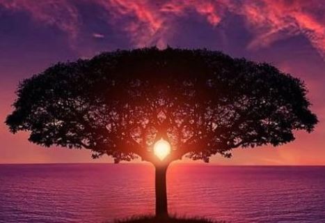 童子命法事不能随便做要找对道长