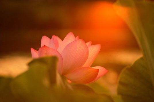 如何在感情里挽回对方 如何快速挽回爱情