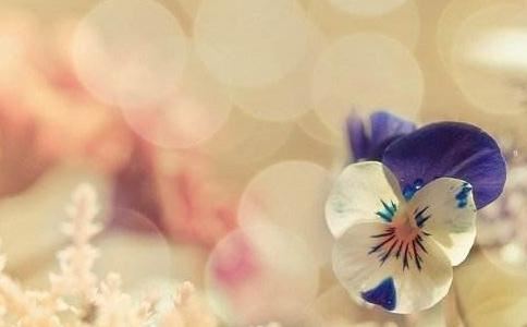 一个灵童转世者的自述