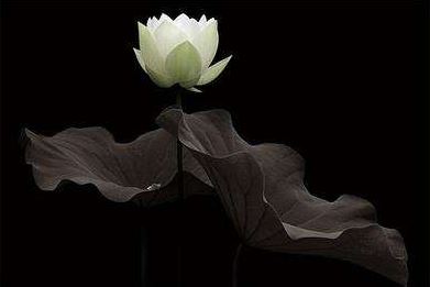 仓库旗鼓两边拱，富贵双全定不误是什么意思