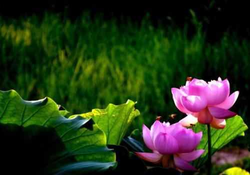 补财库法事多少钱？如何补财库