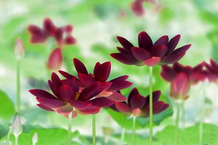 轻松搞好婆媳关系，聪明媳妇教你几招