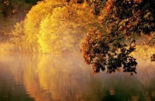 如何拯救丧偶式婚姻的具体做法,温情守护才是良药