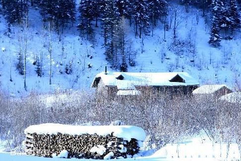 大林木命的人用什么材质的文昌塔好？