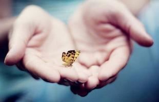 做梦梦到牛,意味着什么？怎么回事？