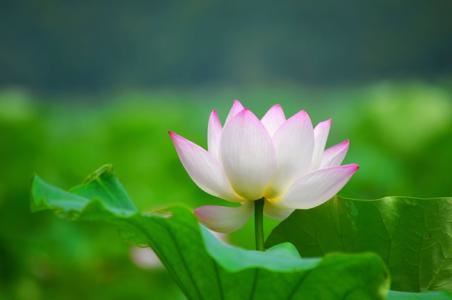 金是辟邪的吗？风水中黄金辟邪效果