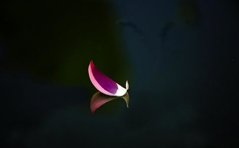 情侣复合有几次机会 这一点很是关键 很多人都做错