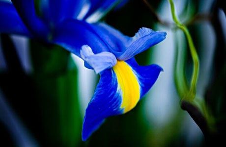 云一道长：堕胎后如何超度孩子，真心忏悔行善积德