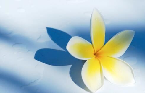 探究八字的由来及历史演变