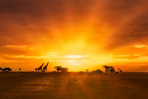 和合术是真的吗?和合术挽回感情真实案例