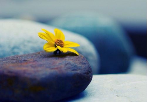 自己化解童子命是否可行 听听专业人士的回答